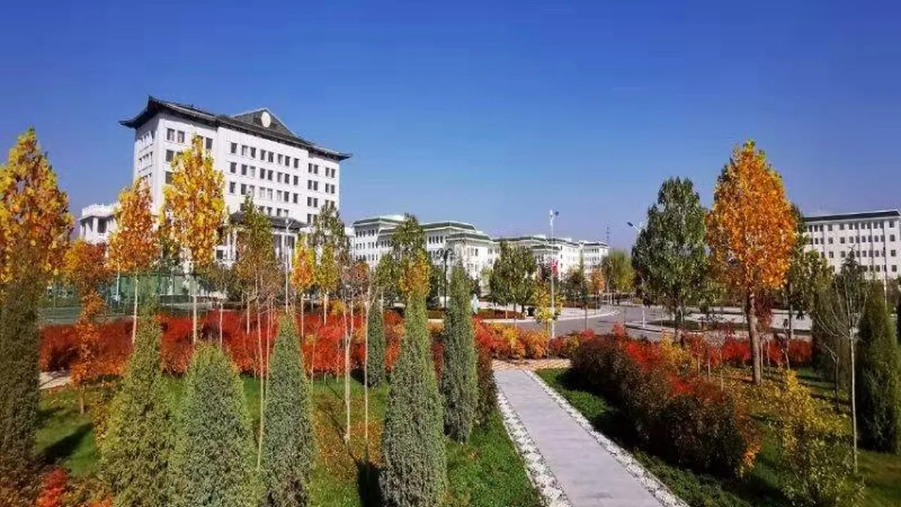 Кампус Линьсяского современного профессионального колледжа, архив 2019