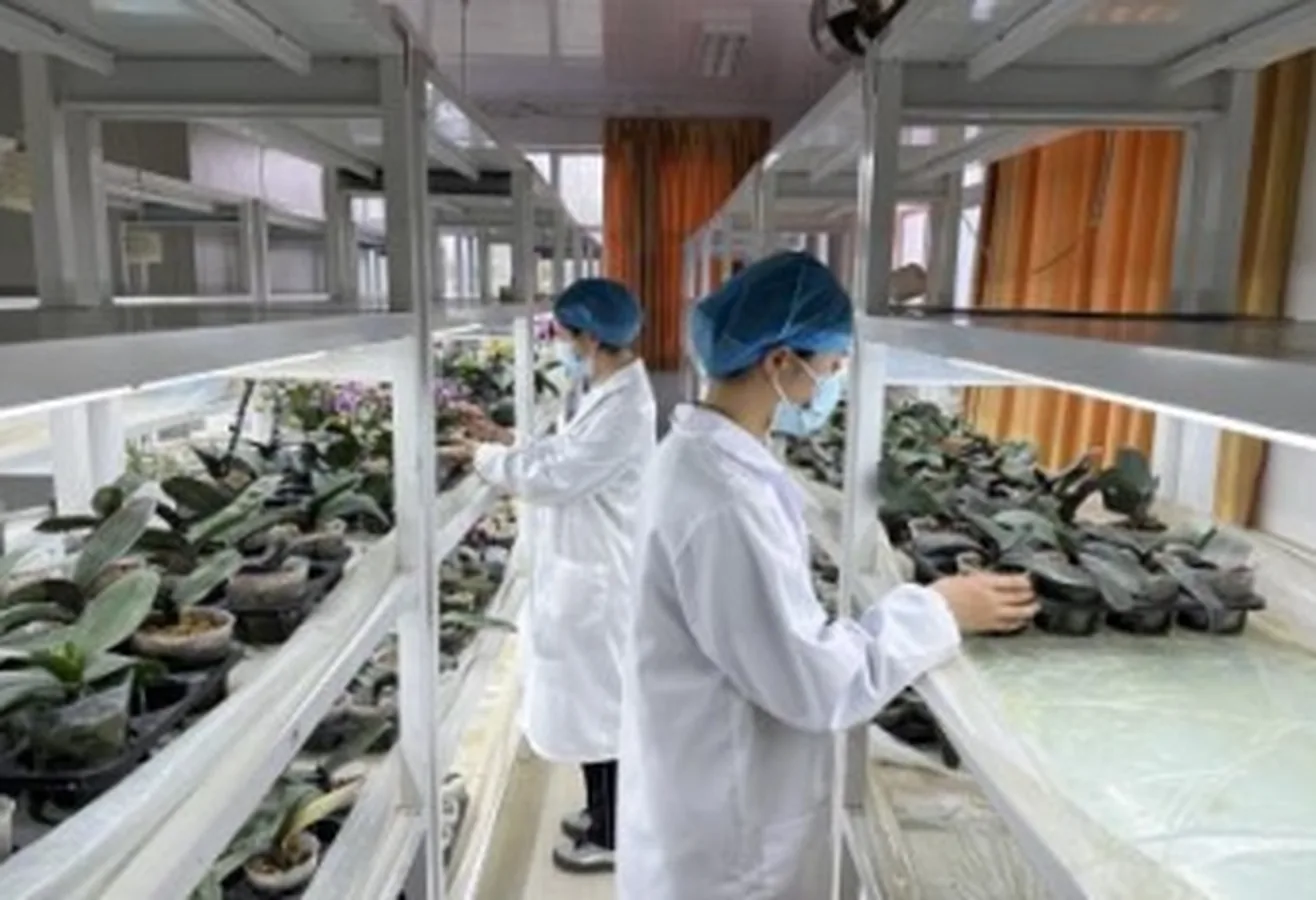 Практическая работа студентов с растениями в колледже